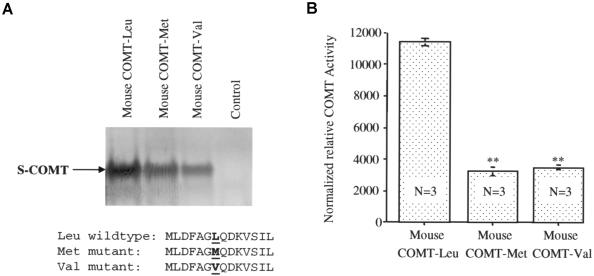 Figure  6