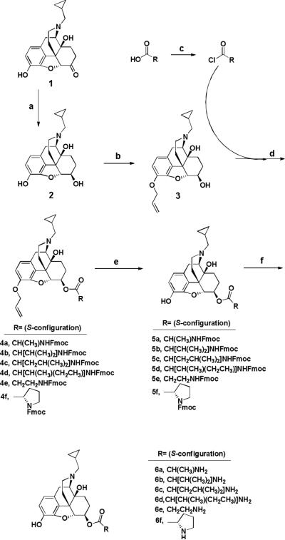 Scheme 1