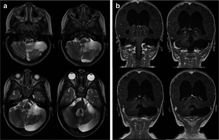 Fig. 8