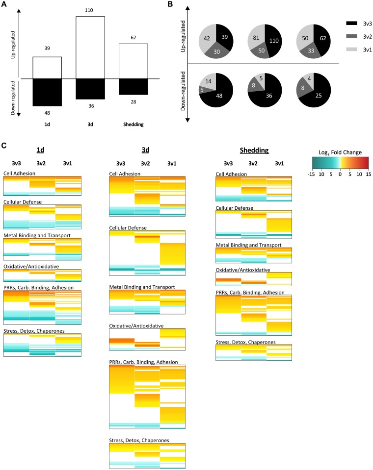 Fig 10