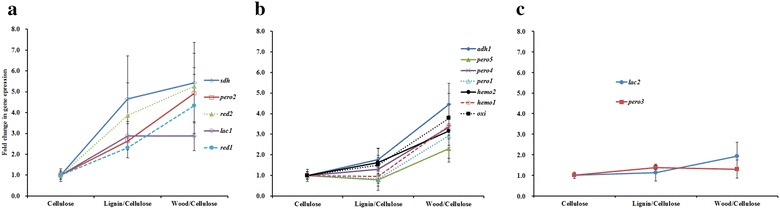 Fig. 6