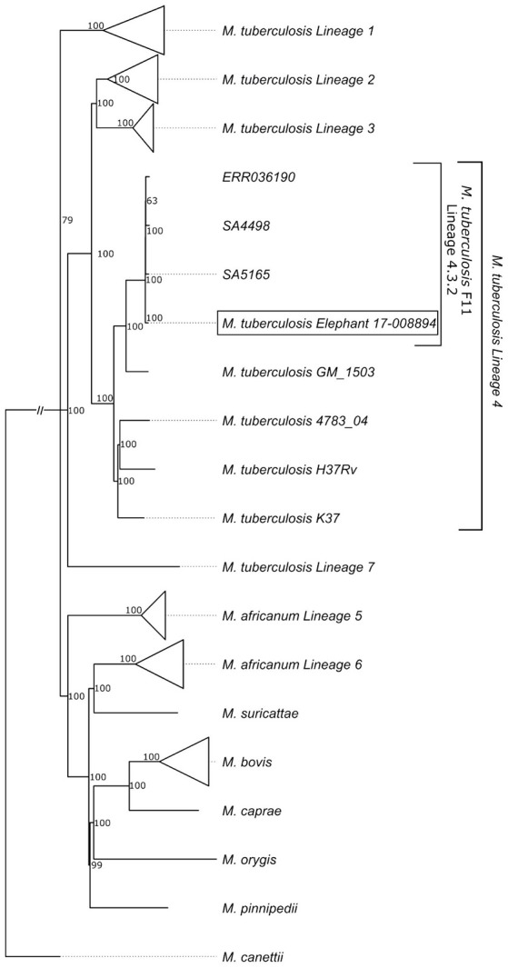 Figure 6