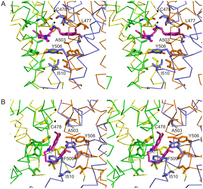 Figure 5