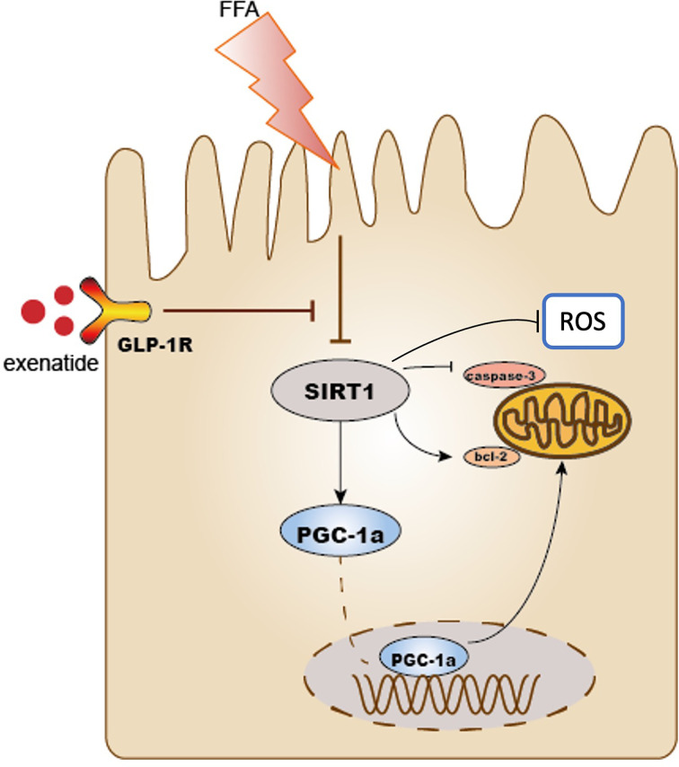 Figure 5