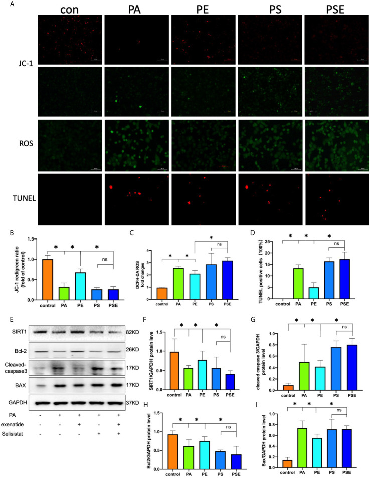 Figure 4