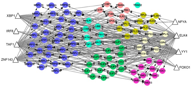 Figure 4.