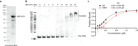 Extended Data Fig. 7.
