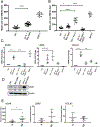 Fig. 4: