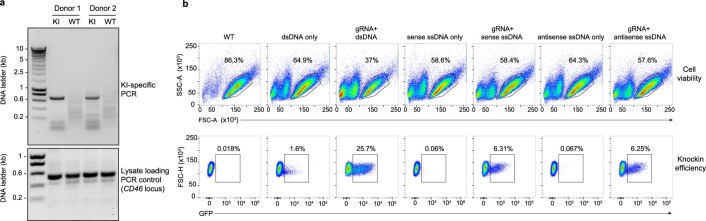 Extended Data Fig. 8