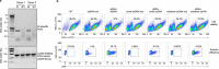 Extended Data Fig. 8