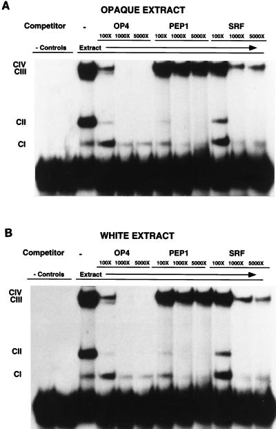 FIG. 7