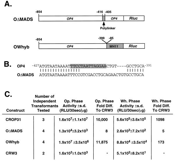 FIG. 6