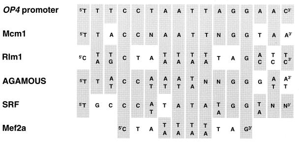 FIG. 4