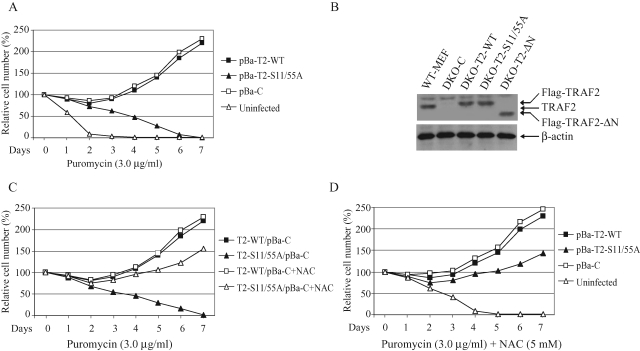 FIGURE 2: