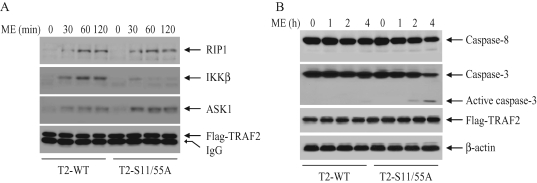 FIGURE 7: