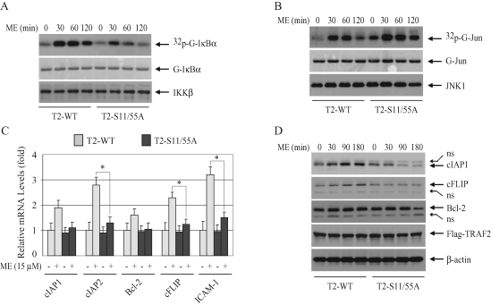 FIGURE 6: