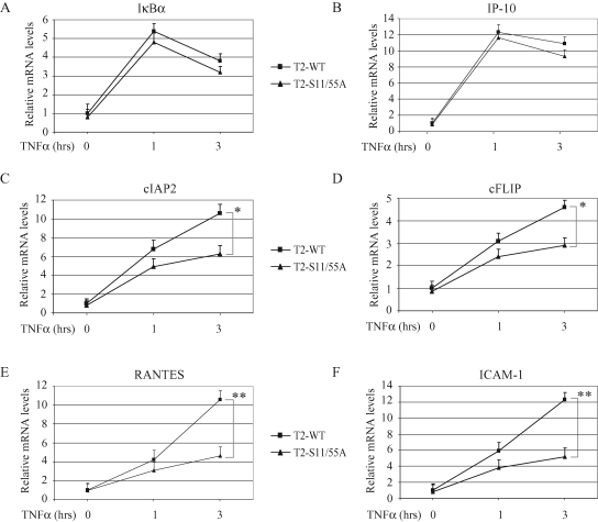 FIGURE 3: