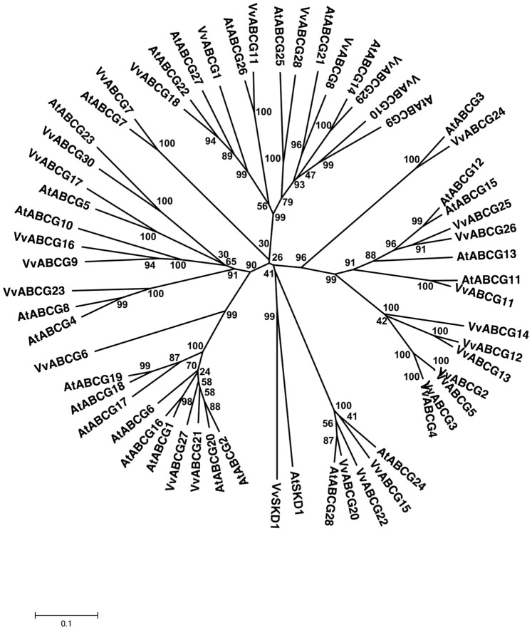 Figure 7