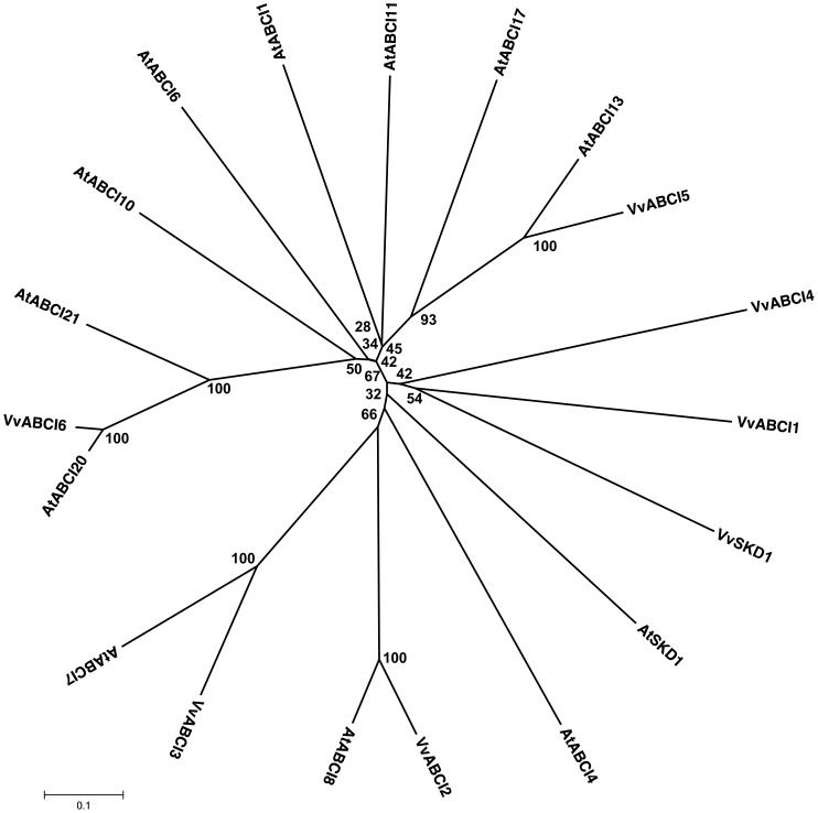 Figure 9