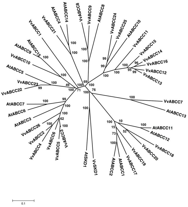 Figure 5