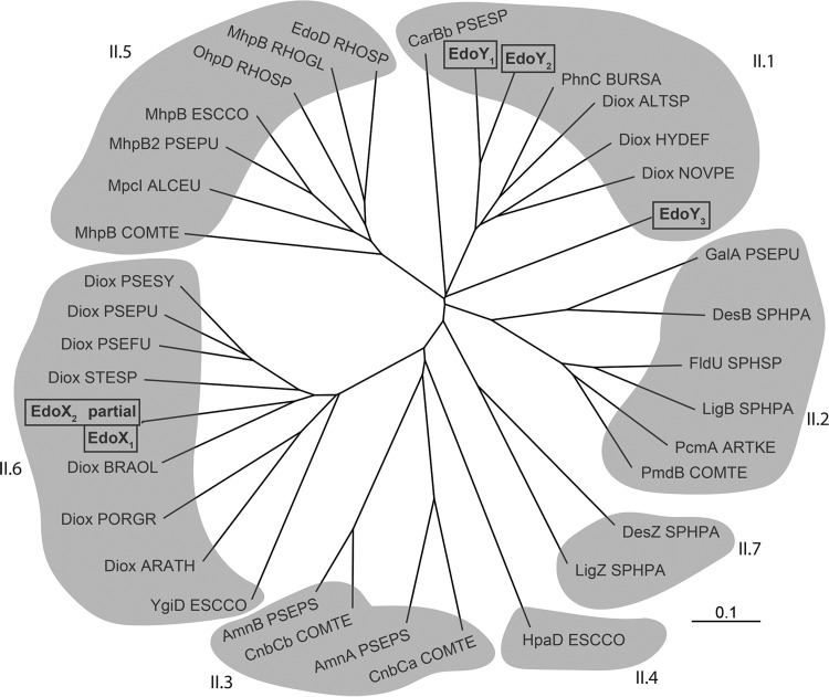 FIG 4