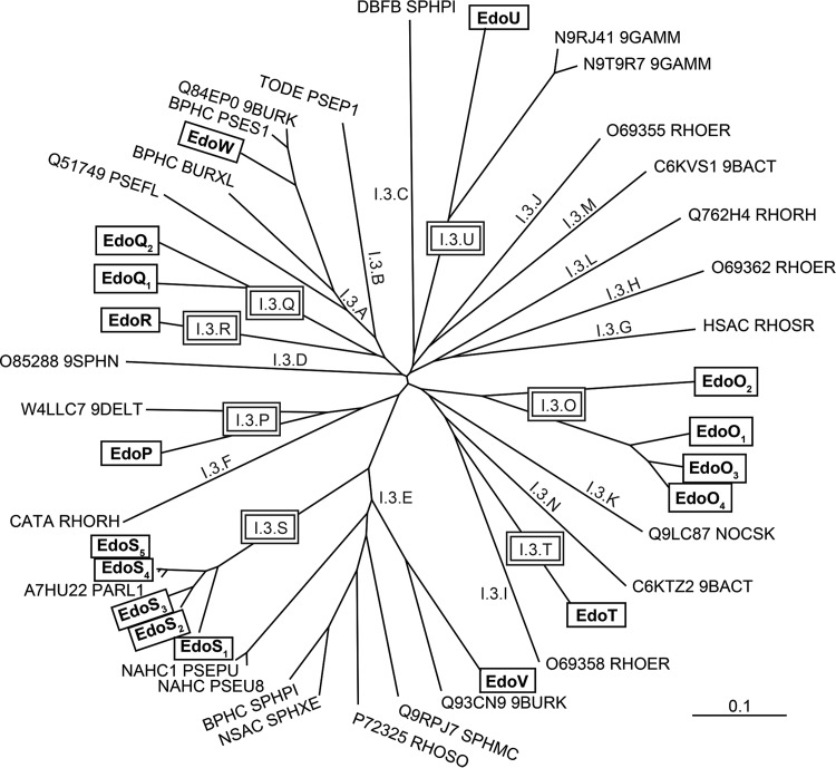 FIG 3