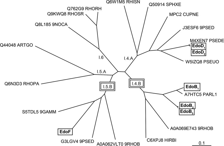 FIG 1