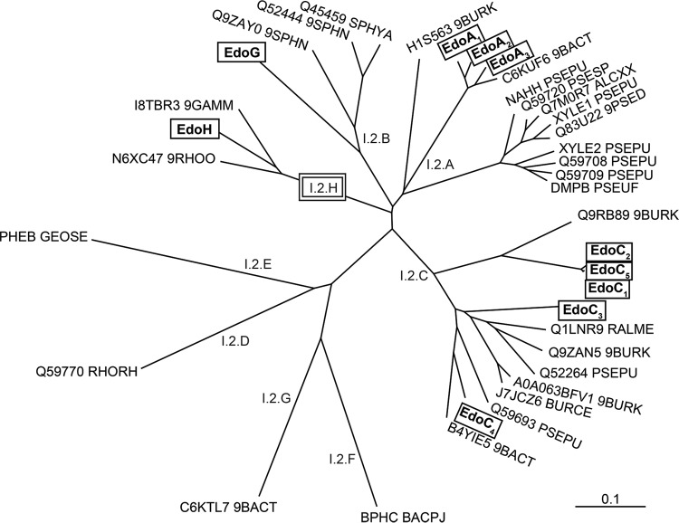 FIG 2