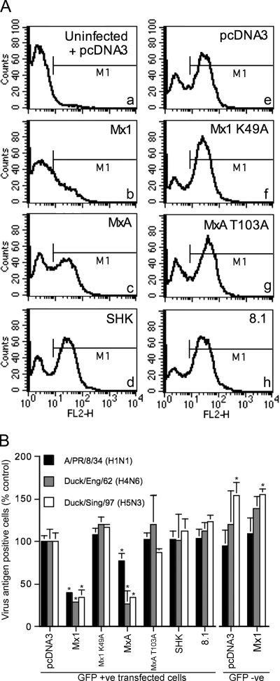 FIG. 2.