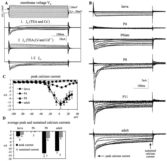 Fig. 9.