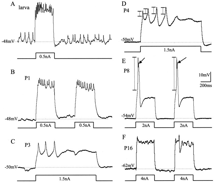 Fig. 6.