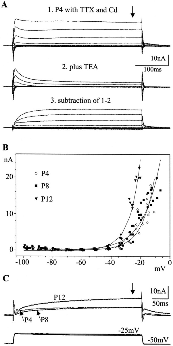 Fig. 10.