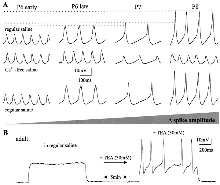 Fig. 8.