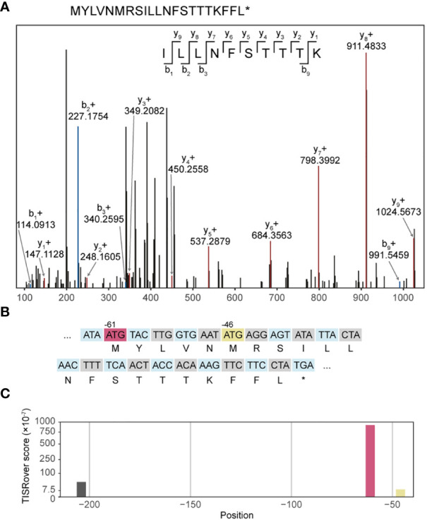 Figure 4