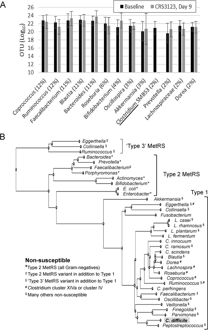 FIG 6