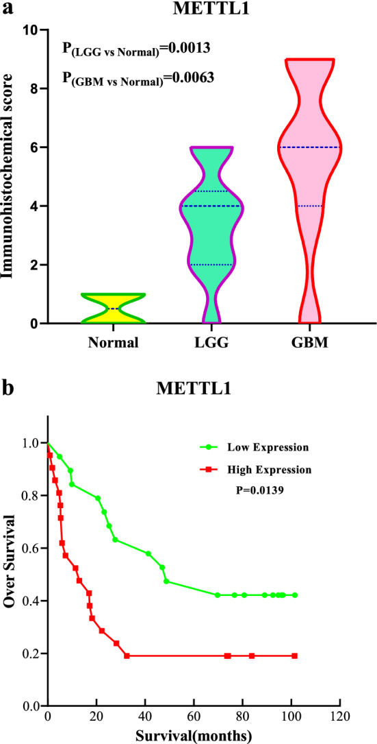 Fig. 11