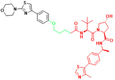 graphic file with name ijbsv19p3360i012.jpg