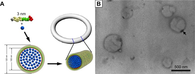 Figure 12