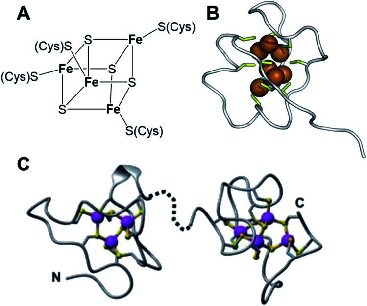 Fig. 17