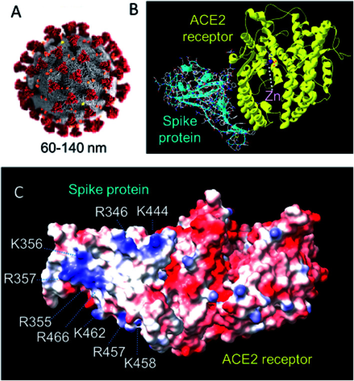 Fig. 12