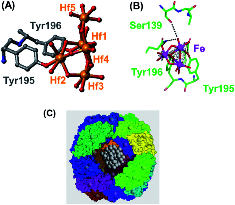 Fig. 16