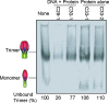 FIG. 10.