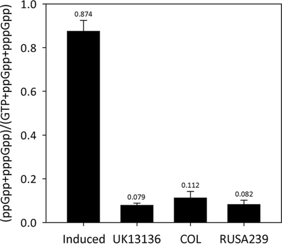 FIG 1