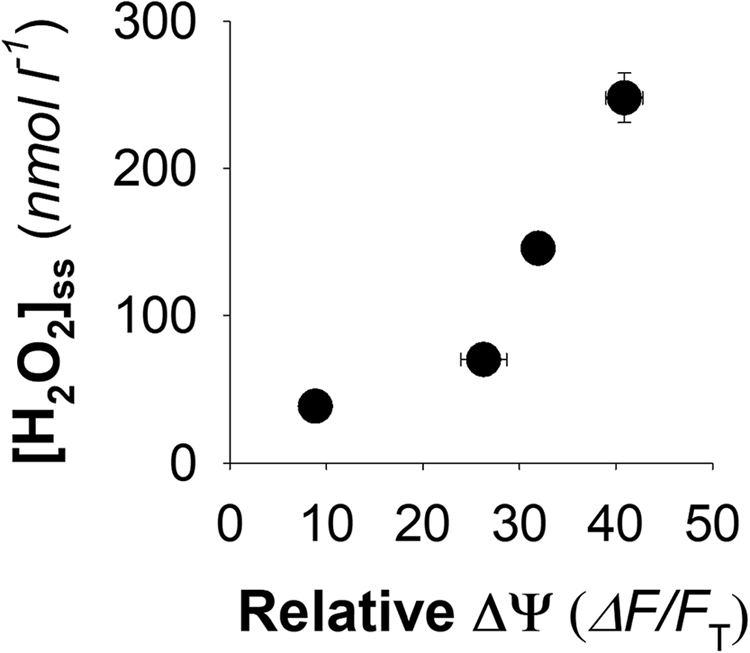 Fig. 5