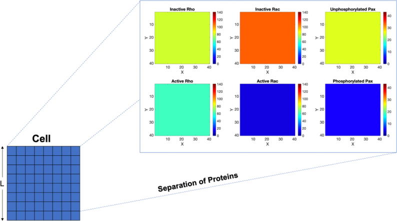 Fig. 2