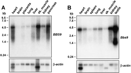 Figure  3