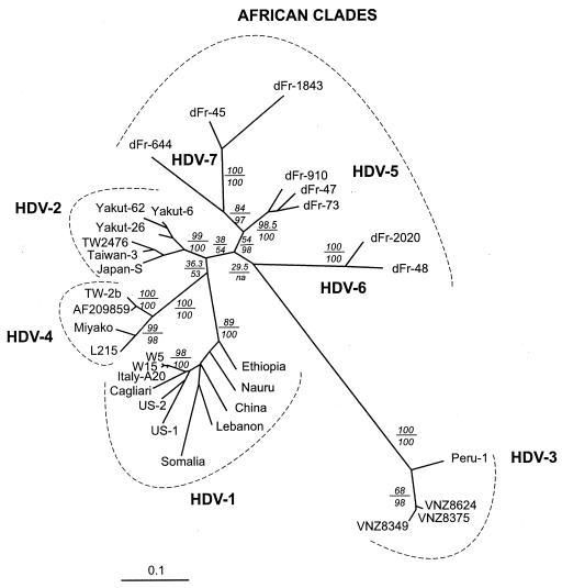 FIG. 2.