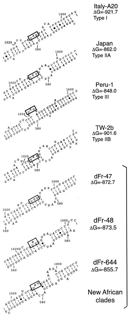 FIG. 4.