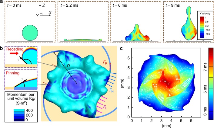 Fig. 2