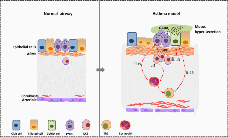 Figure 2